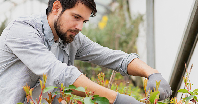 Enhance Your Property Value with Strategic Tree Installation