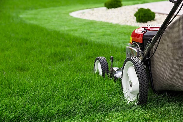 Professional Lawn Care service photo